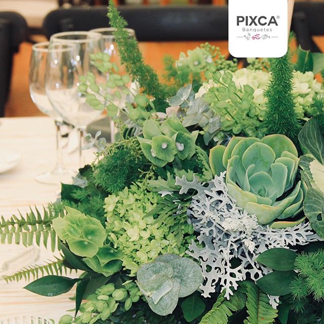 pixcamx's tweet photo. Cada diseño floral es único y personalizado 🌷💫, regido por los gustos de los novios 👰🏻🤵🏻 y las ideas de nuestros profesionales 👩🏻‍💼👨🏻‍💼🏅
#bride #flower #cuernavaca #morelos #cuerna #catering https://t.co/haCFW1VgNz