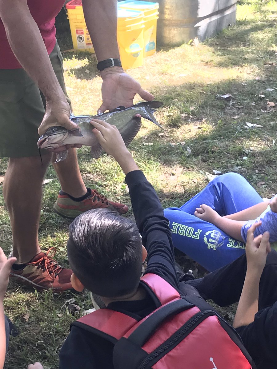 Mindy_Matthews5's tweet photo. Fish and frogs and turtles, oh my! Outdoor Ed Aquatic Station #205CougarPride #ShyTurtle #RopeSnake https://t.co/yIrtpyVBoI