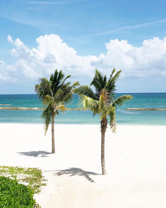 Conference lunches aren’t so bad when you have a view like this 😍 ift.tt/2OedxoZ
