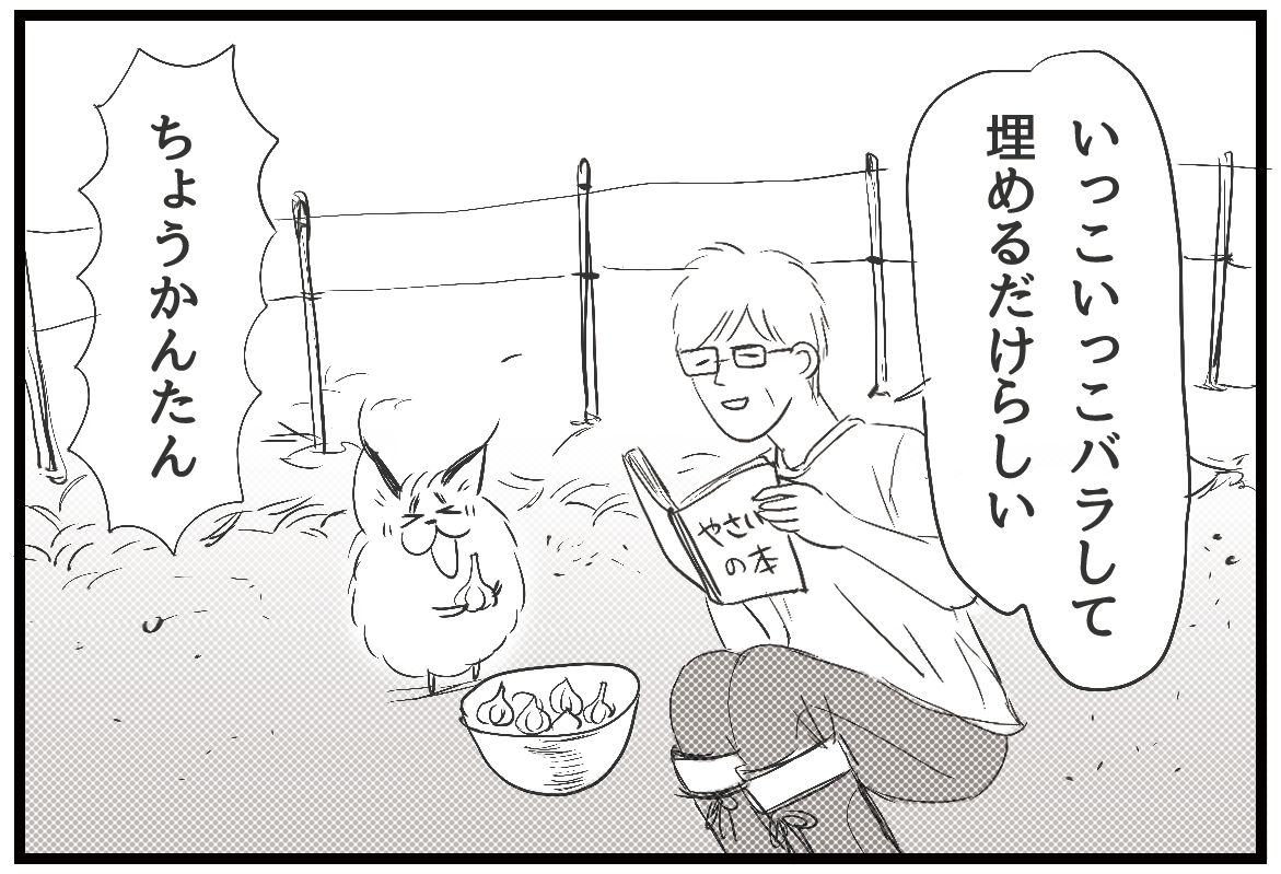 あいなつ 毛玉なカラカル Vol 297 初心者むけの野菜 カラカル 毛玉なカラカル 4コマ漫画 4コマ 漫画 イラスト アフリカ ネコ科動物 動物 猫 市民農園 にんにく 秋 あいなつ 毛玉なカラカル Vol 297 初心者むけの野菜 カラカル 毛玉なカラカル 4コマ漫画 4コマ 漫画 イラスト アフリカ ネコ科動物 動物 猫 市民農園 にんにく 秋