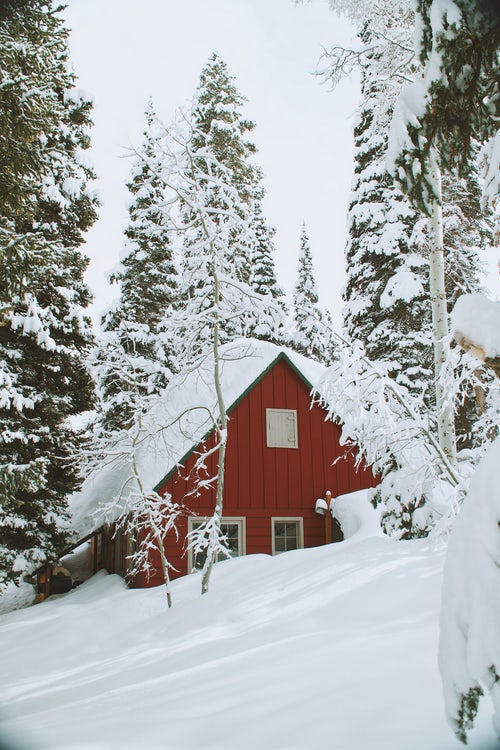 Premium Service Brands On Twitter Fall Is Here Winter Is