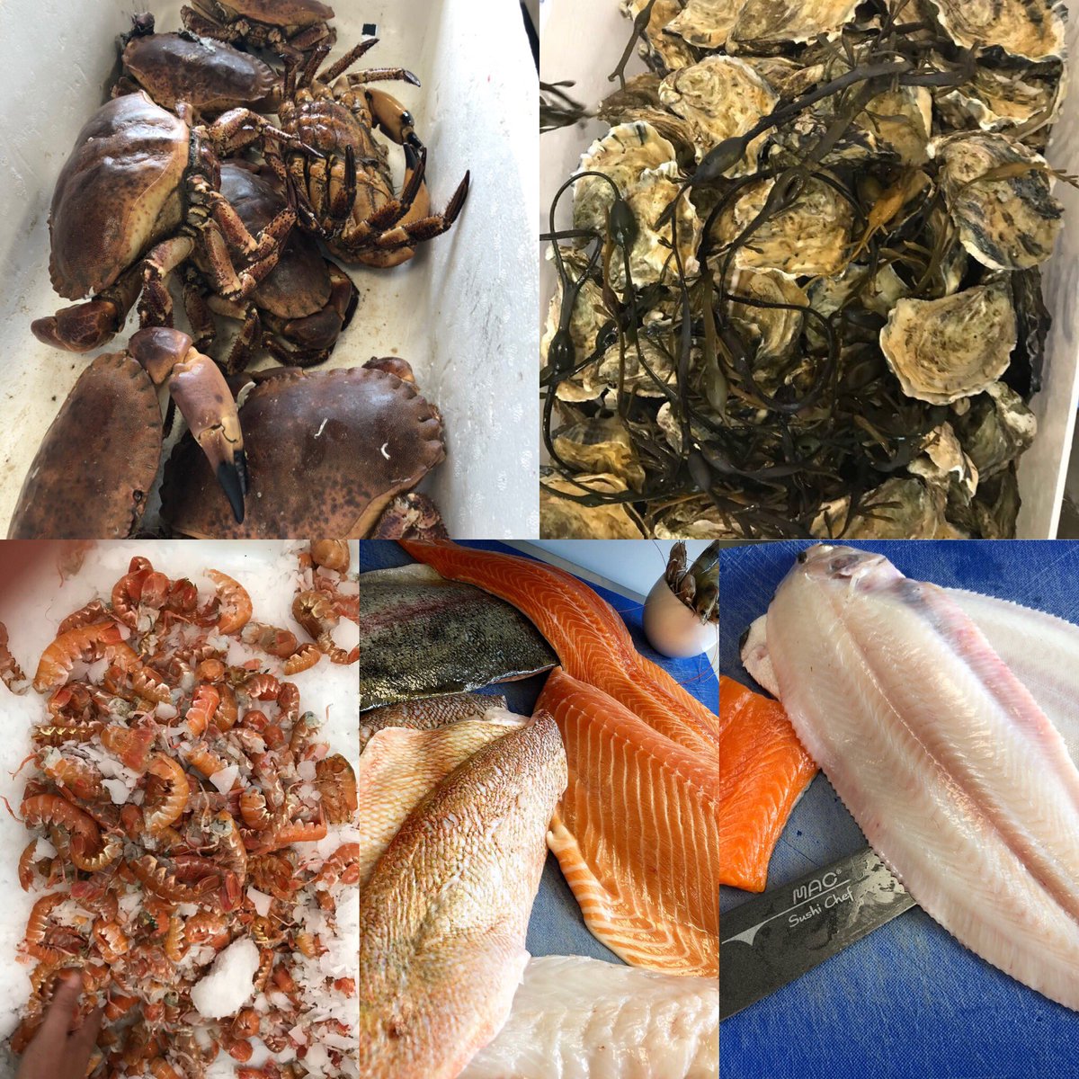 dean douglass (@dean_douglass) on Twitter photo Sometimes you have to applaud the suppliers for there constant support and consistency <a href="/Anthony040108/">Tony Wilson</a> <a href="/HodgsonFish/">Hodgson Fish</a> cheers for all the superb produce we have had <a href="/thebriardene/">The Briar Dene</a> so far hats off to everyone involved on the boats in the factory and the drivers you guys really are #1 Sometimes you have to applaud the suppliers for there constant support and consistency <a href="/Anthony040108/">Tony Wilson</a> <a href="/HodgsonFish/">Hodgson Fish</a> cheers for all the superb produce we have had <a href="/thebriardene/">The Briar Dene</a> so far hats off to everyone involved on the boats in the factory and the drivers you guys really are #1