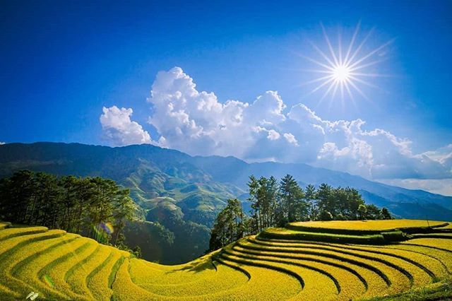 BlogIndochina's tweet photo. Just Pinned to Indochina travel blog: Breathtaking beauty of terraced rice fields in Northern Vietnam #openmyworld #goplayoutside #greatnorthcollective #wildernessculture #letsgosomewhere #ourplanetdaily #wildlifeplanet #keepitwild #stayandwander #campv… https://t.co/noKJap9Fha https://t.co/SrTEHg4rpj