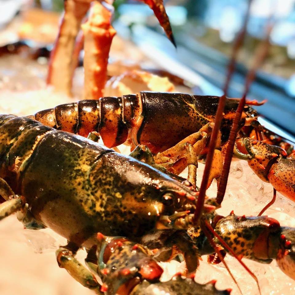 Circo Texas tweet media