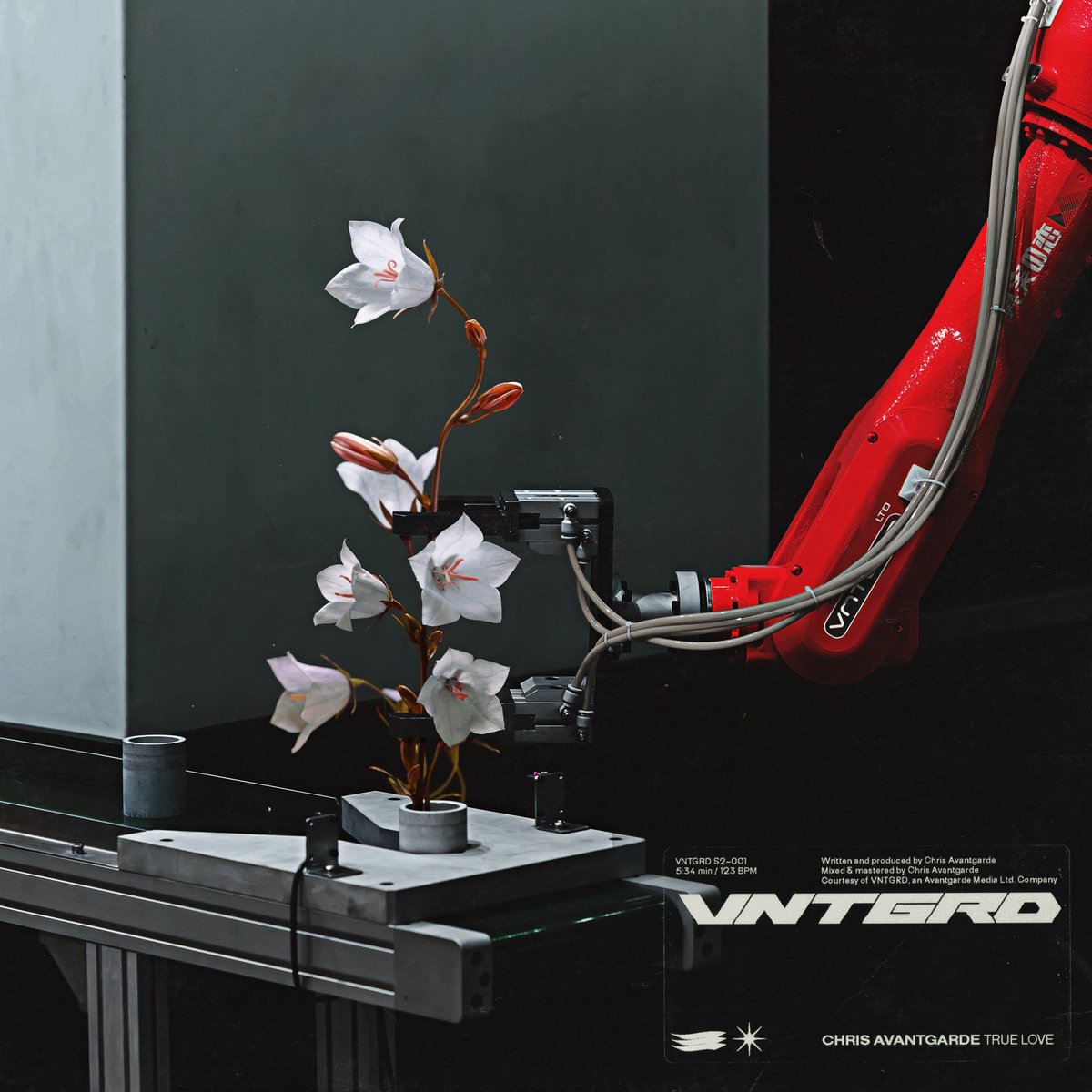 True Love
Coming October 5th 2018
Pre-save: goo.gl/X7RjB1
Artwork by Darren Oorloff