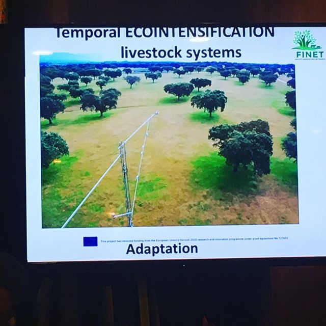 ClimateSmartCU's tweet photo. Agroforestry systems #cicss https://t.co/L0wppTF0Ag https://t.co/y8i95rw0UV