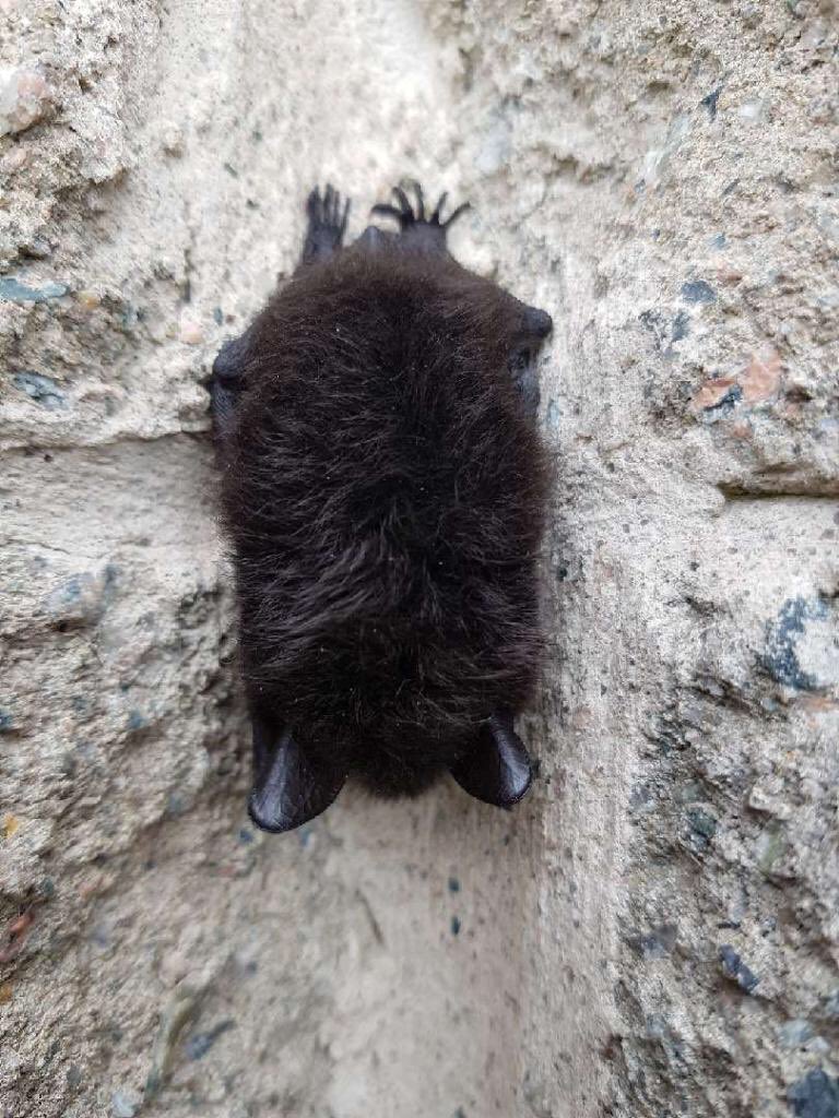 belinda_loder's tweet photo. The things you discover when you are โdoingโ science outside!! #learningbydiscovery #grade2science #teachablemoments @NLESDCA @HTE_K4 @ptoddw @FitzpatrickLynn https://t.co/70lOxcwiJG