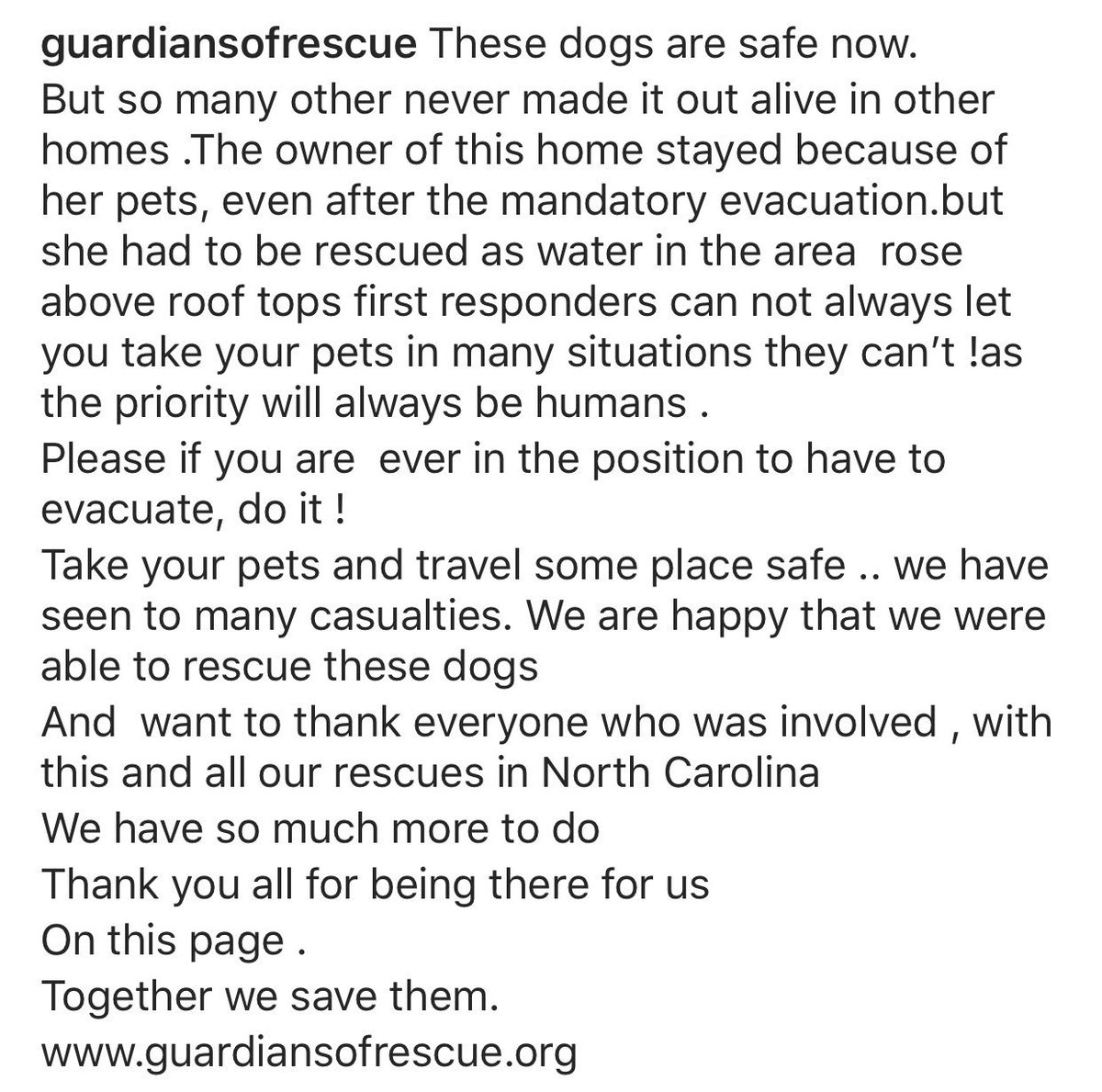 Guardians of Rescue tweet media