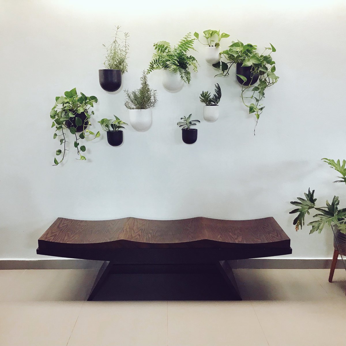 cr3ativeresults's tweet photo. Sometimes we need some peace in our interiors (your soul too you know!) 🌿#Green https://t.co/vMnavBrM7N