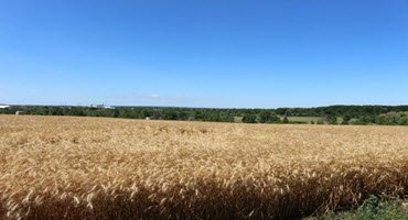A farmer from the Niagara Region is producing crops in an unlikely location: farms.com/ag-industry-ne…