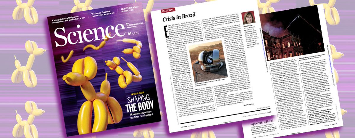 cienciausp's tweet photo. Na revista "Science" @sciencemag, pesquisadores brasileiros defendem investimento em Ciência e Tecnologia e criticam desvalorização do setor pelo governo https://t.co/CtQsBrCSOD https://t.co/J43mXKJrjh