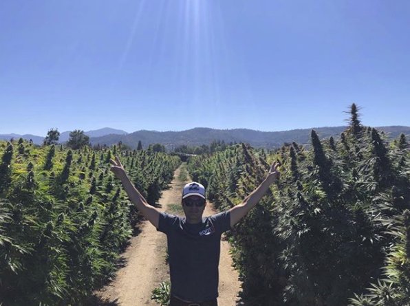 CertifiedBags's tweet photo. We're wondering if the Farm bill will take another 2 weeks, a month or 2 years to pass.  #dontrepeat2012 #hempfarmingactof2018 #progress #cbd #seedtoshelf https://t.co/NjAf3DSa4b