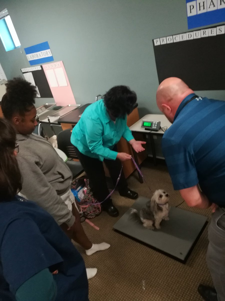 CCCS_School's tweet photo. Animal science students are learning how to check a patient into a clinic! Noelle has been a great practice patient โฅ๏ธ๐ถ #cccssac #gcc_charters #animalscience #cteclasses https://t.co/3meHLFfowE