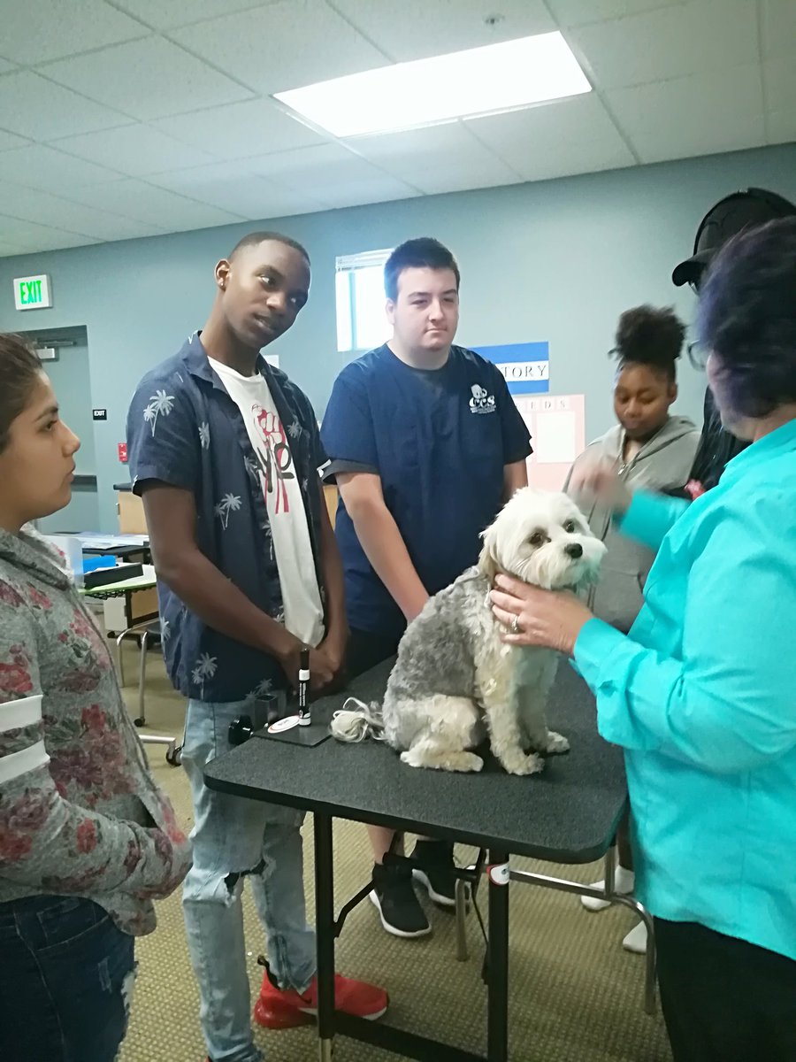 CCCS_School's tweet photo. Animal science students are learning how to check a patient into a clinic! Noelle has been a great practice patient โฅ๏ธ๐ถ #cccssac #gcc_charters #animalscience #cteclasses https://t.co/3meHLFfowE