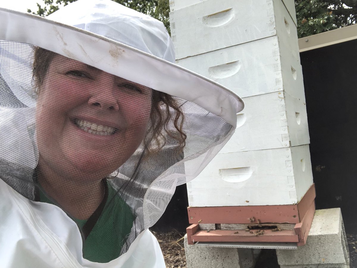 TheSPARKSprouts's tweet photo. Getting ready for our first honey harvest of the year, which will take place on Tuesday, October 2nd. @APS_SPARK students will get to view the harvest and taste the honey. Itβs going to be un-bee-lievable! @TerryHarness @drjtoney @SPARKpto https://t.co/Cn4KMb8AAA