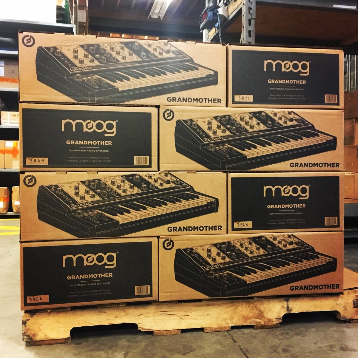 Moog Synthesizers tweet media