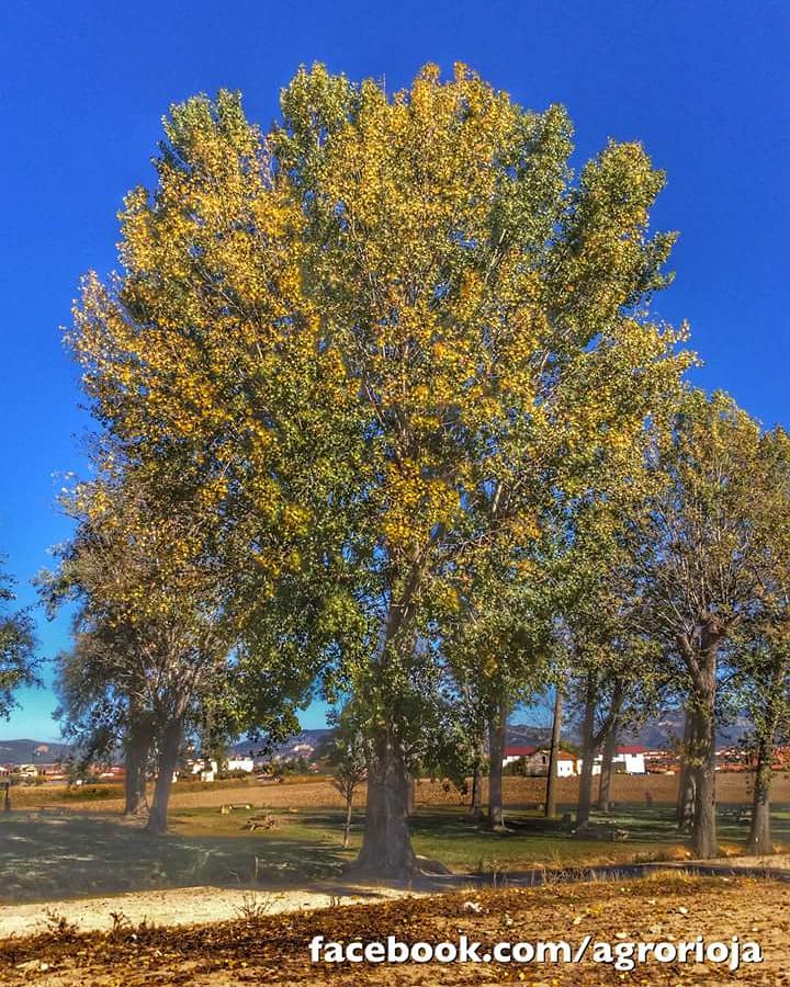 Próximas estampas que darán lugar a unos #paseos estupendos !! #larioja #imaginaLaRioja #VisitLaRioja