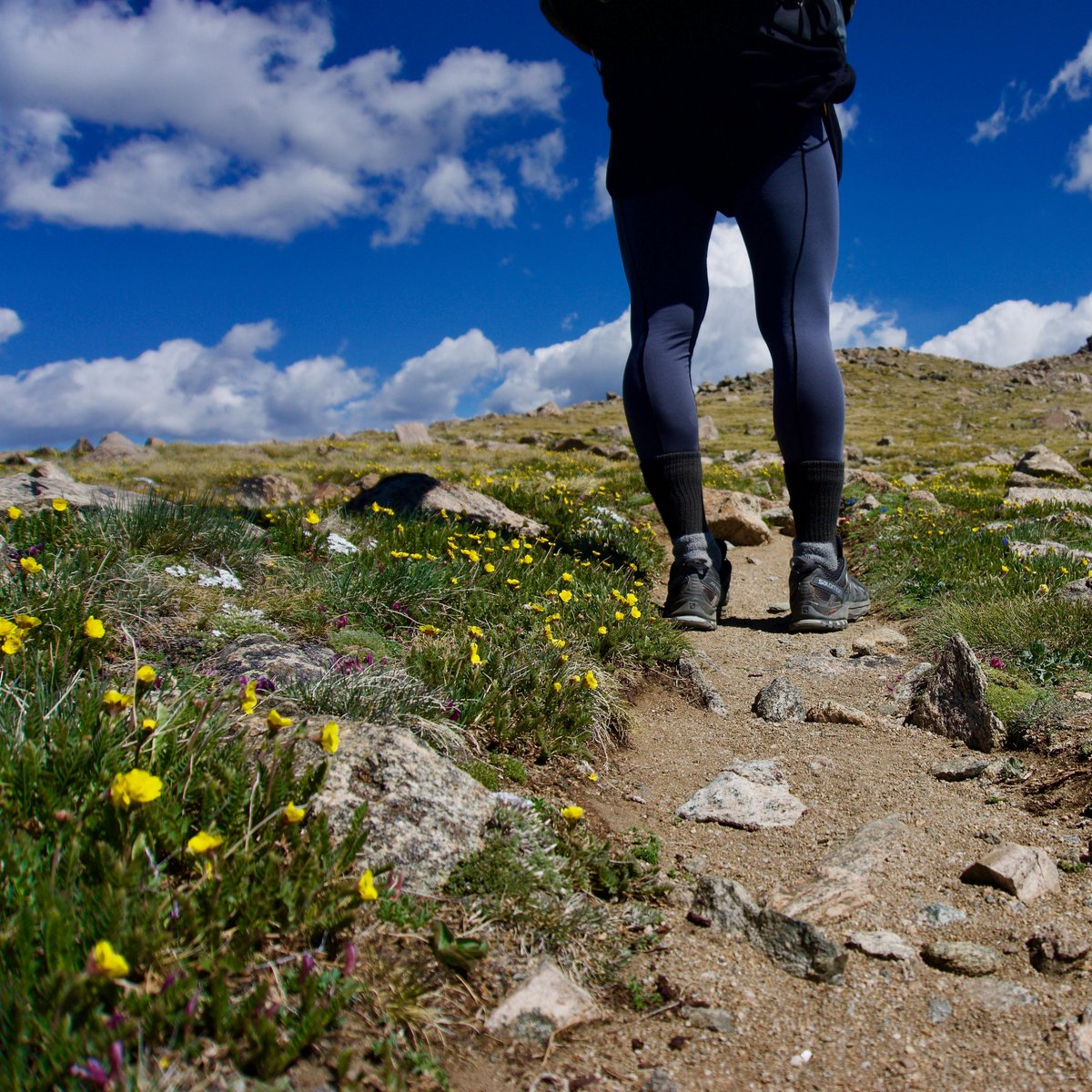 HanoverInn's tweet photo. Celebrate @AT_Conservancy's 50th birthday by #hiking along the #AppalachianTrail! Hikers can soak up astonishing scenery &amp; encounter unique wildlife along a trail that spans 2,148 miles; this opportunity of a lifetime is mere steps of the Inn! #ATPCT50 

https://t.co/Po1Y6r7RM1 https://t.co/Qo8vNKzPK1