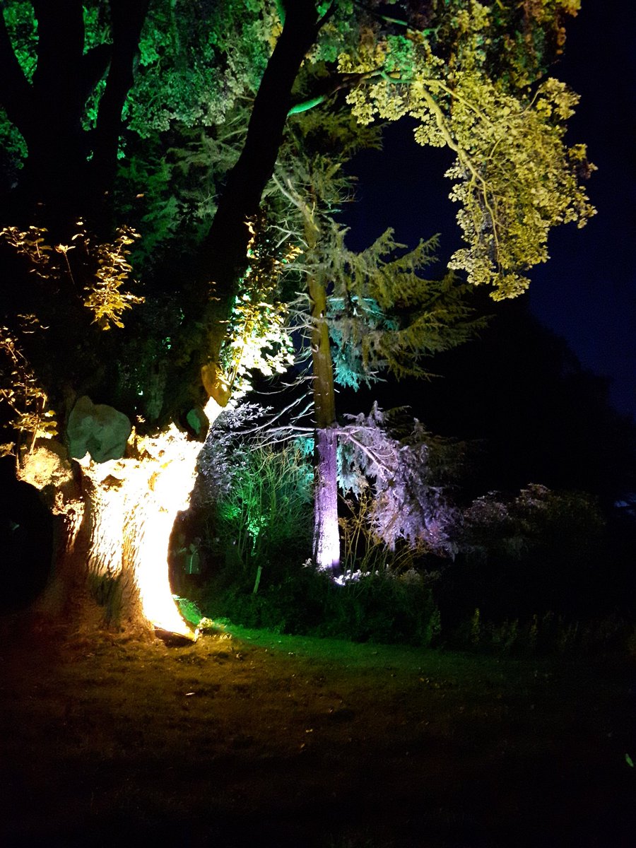 RabBennett56's tweet image. Some pictures from Vogrie Country Park tonight. @midgov great event,  we really enjoyed it, well done.👍😀