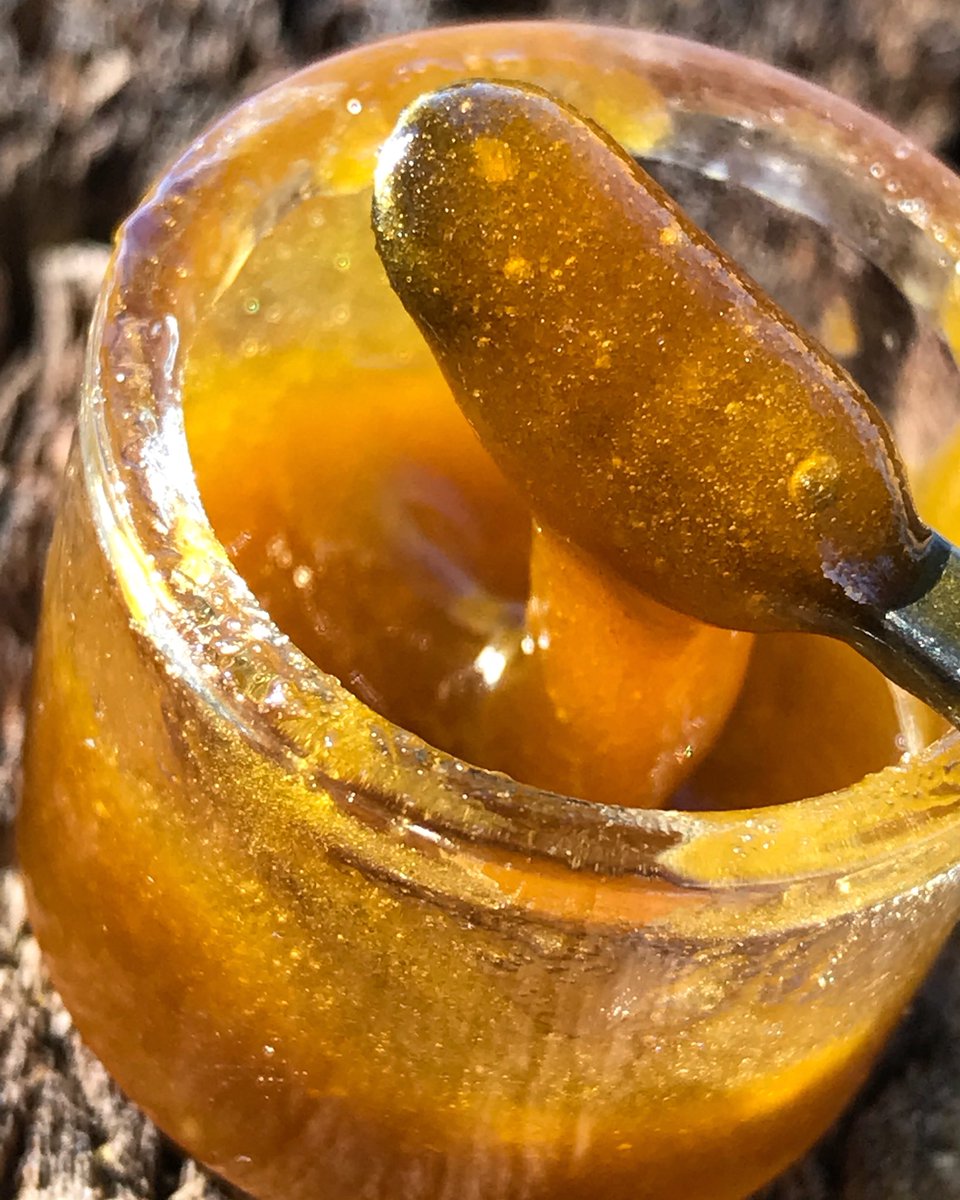🍯 #Amnesia #SugarWax  by @smxtracts 😻 more like #SugarSauce 🤤💯 for this beautiful #TerpyThursday 🚀  #GorgeGold  #710squad #seattledabber #pnwgrown #pnwdabbers #710community #flavortown #i502 #seattlestoners #terpcity #fueledbythc #fueledbyterps #420photography #pnwdabber
