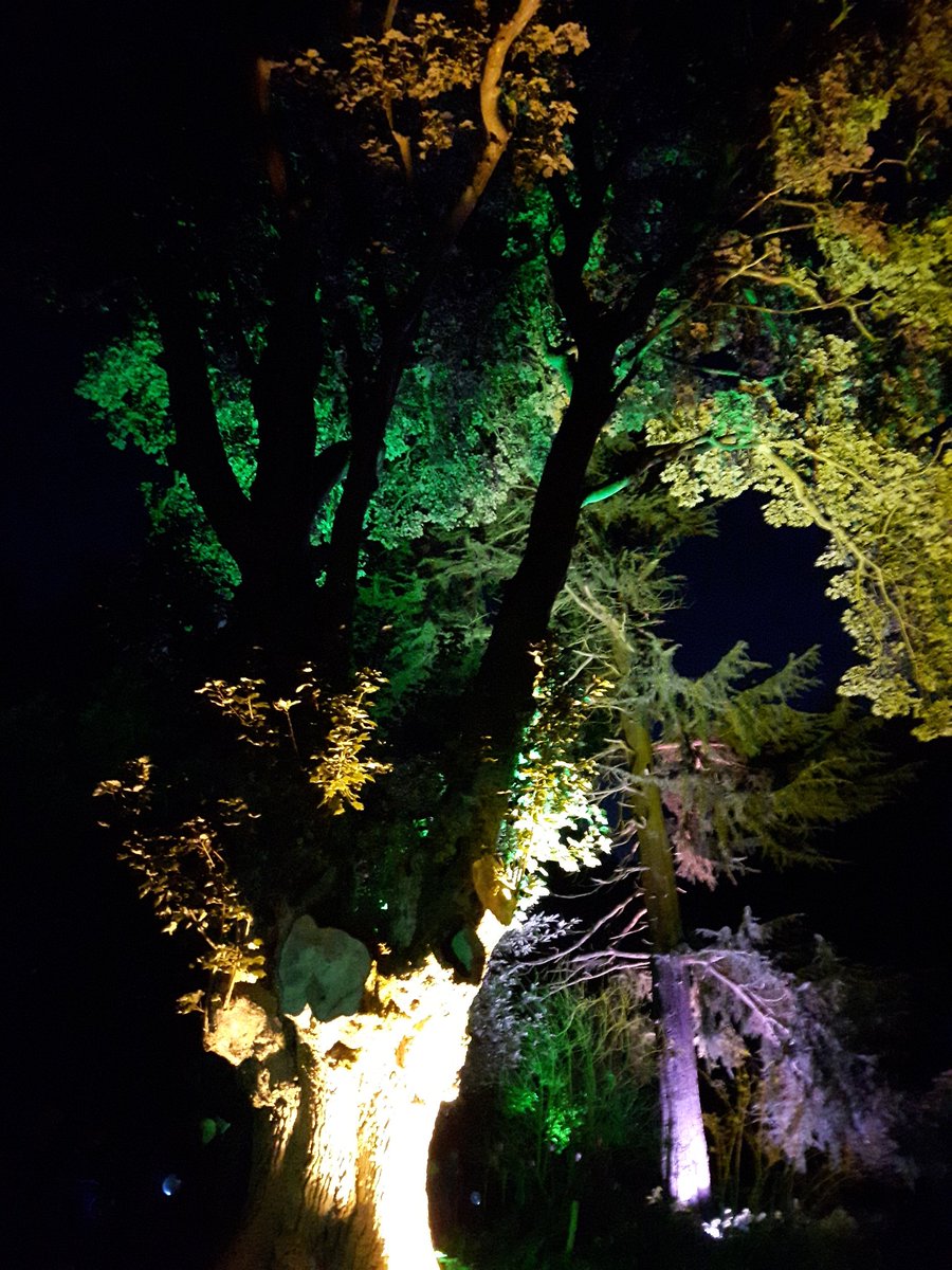 RabBennett56's tweet image. Some pictures from Vogrie Country Park tonight. @midgov great event,  we really enjoyed it, well done.👍😀