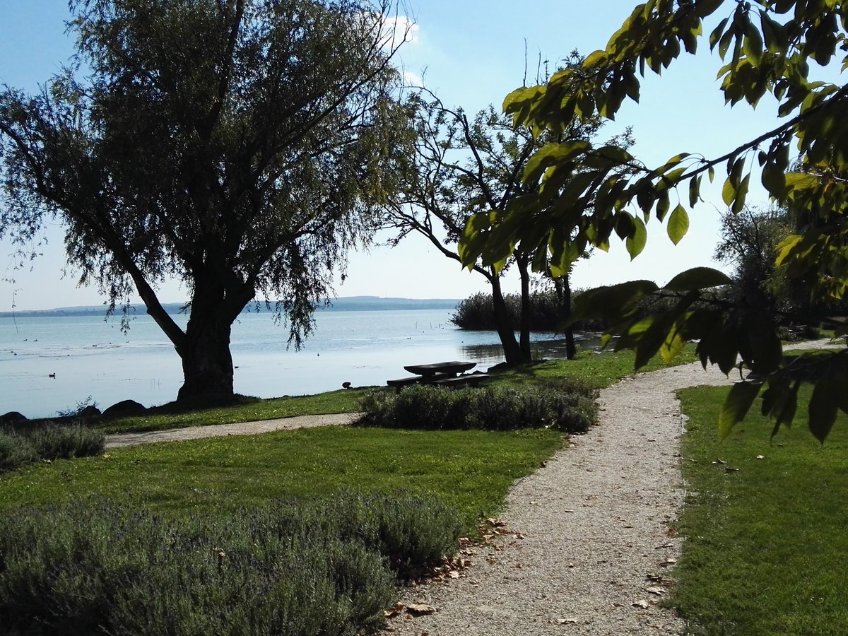 PontowAnke's tweet photo. Balaton https://t.co/E3tf7k7dHO