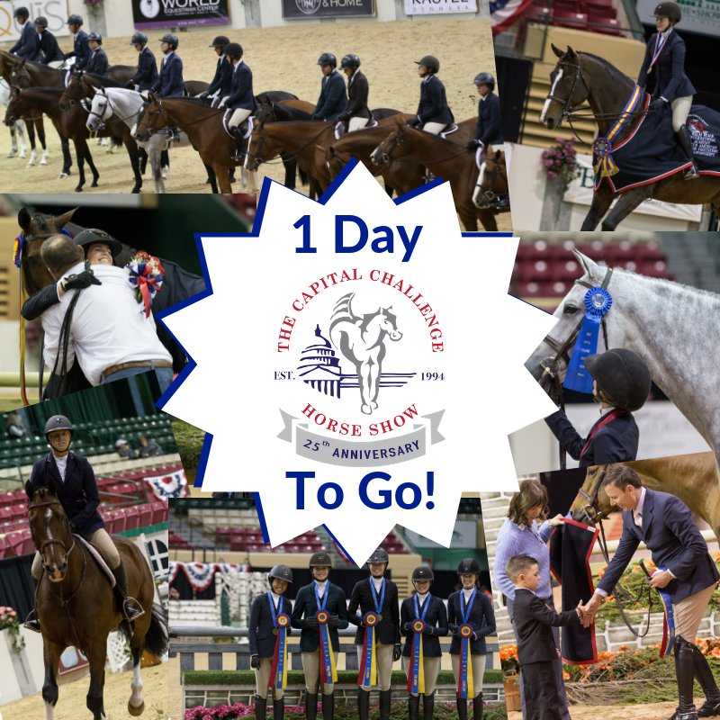 CapChallenge's tweet image. Horses and riders have arrived, and it&apos;s almost time!! #CCHS2018 #25YearsOfCCHS