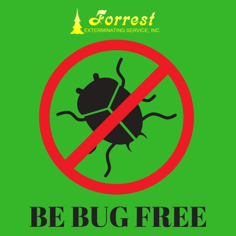 ForrestExterm's tweet image. Is your home bug free?  #termites #pestcontrol #moisturecontrol forrestexterminating.com
