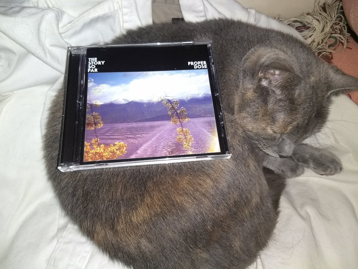 audreydotyo's tweet photo. tssf definitely showed us all that change can be a good thing. I've been taking #tssfproperdose pretty much everywhere since i bought it last friday. show them some support, they 100% deserve it!(: https://t.co/cncQecQMNt