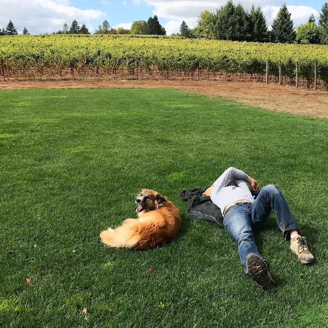 Domaine Nicolas-Jay tweet media