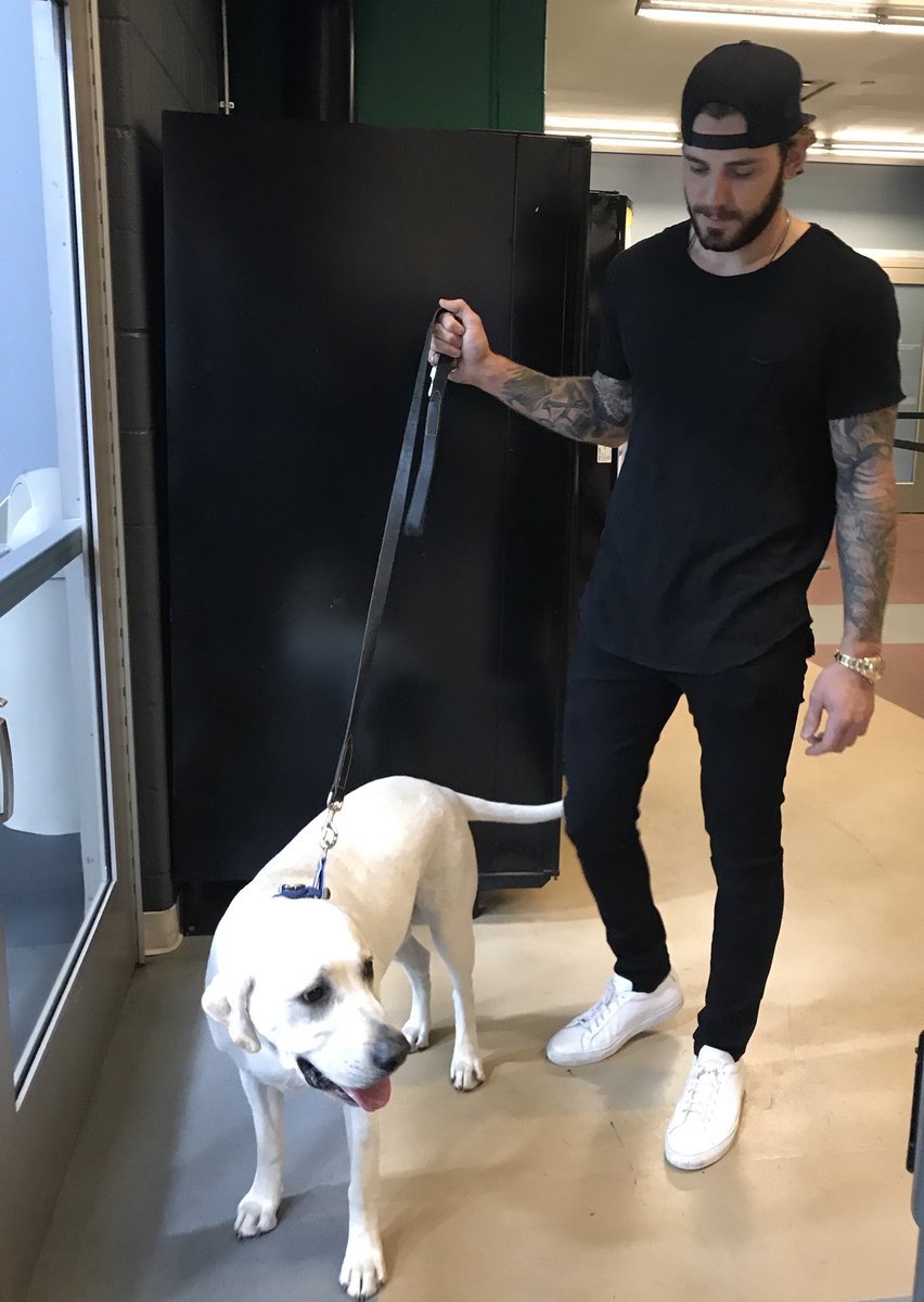 DallasStars's tweet photo. .@tseguinofficial brought a very good boy to practice today 🐶 https://t.co/dWI6EW2izY