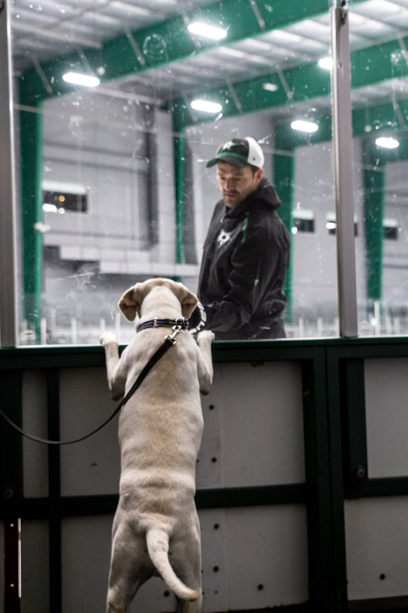DallasStars's tweet photo. .@tseguinofficial brought a very good boy to practice today 🐶 https://t.co/dWI6EW2izY
