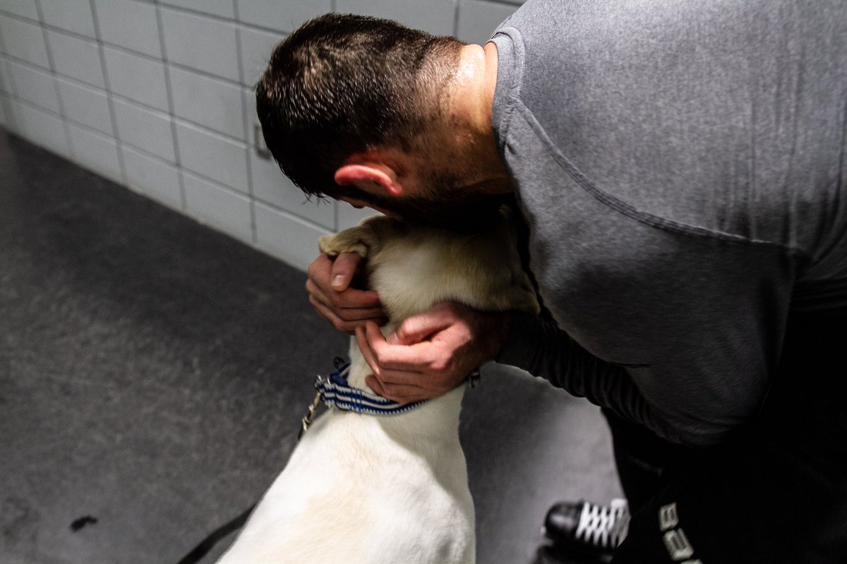 DallasStars's tweet photo. .@tseguinofficial brought a very good boy to practice today 🐶 https://t.co/dWI6EW2izY