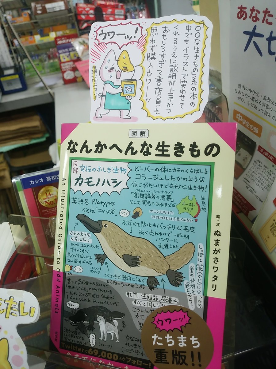 本日紹介する書籍は「なんかへんな生きもの」です。親しみやすいイラストと、ページにぎっしり詰め込まれた著者の生き物への愛にまずは拍手!そして合間合間に挟まれるクスッと笑える小ネタの数々・・堅苦しくなく、まるで「ユーモアを交えてすごく楽しそうに教えてくれる生物の先生」のような本です♪ 
