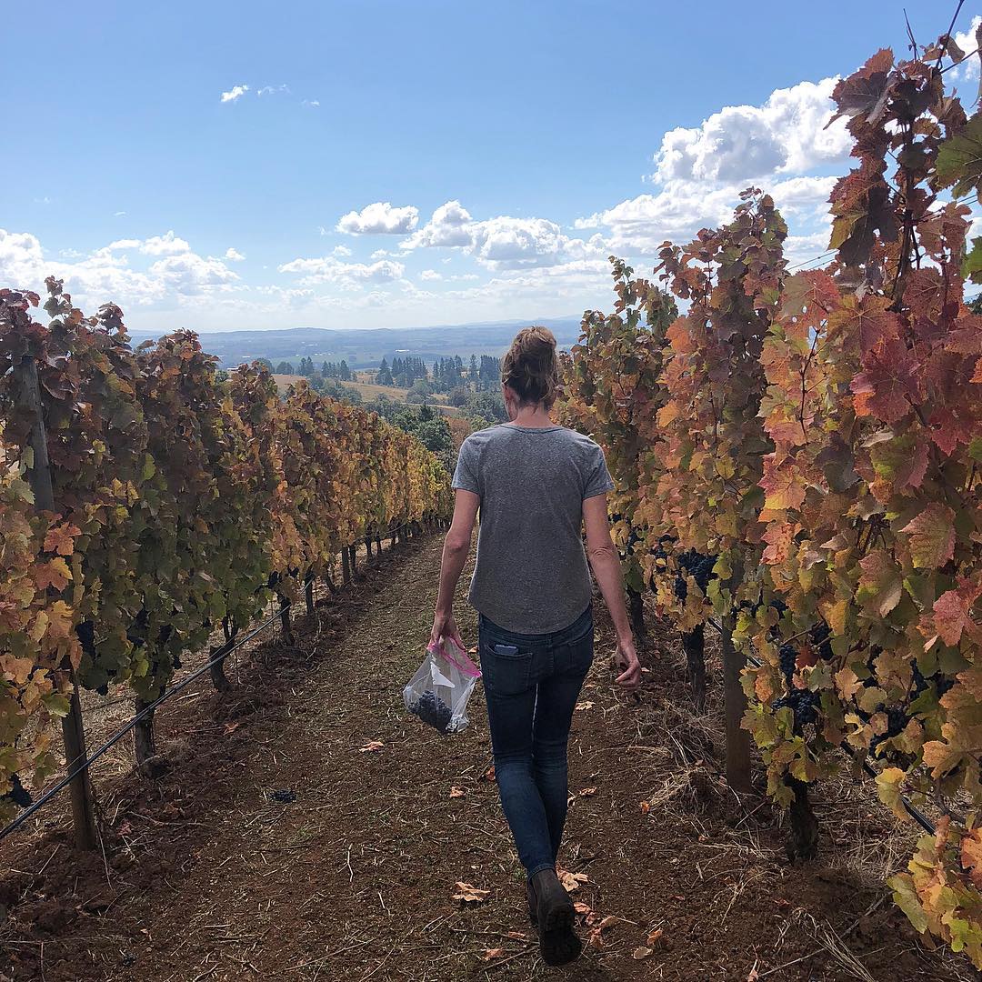 Domaine Nicolas-Jay tweet media