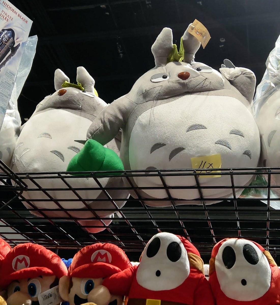 ReasonsImBroke's tweet image. Totoro looked high AF
#MegaCon2018 #MegaConvention #MegaCon #MegaConTampa #MegaConTampaBay