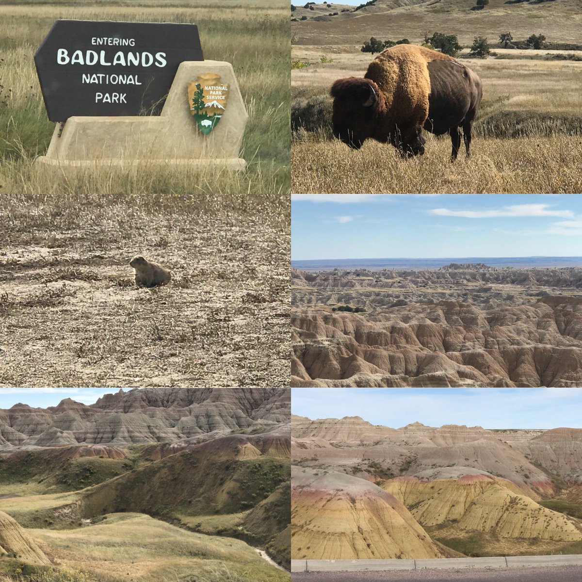 PealingO's tweet photo. Explored Badlands NP here are some of the wild life and scenery. Spectacular!#bison #prairiedog #nationalpark #badlands #southdakota #rvlifestyle #pealingout #spectacular https://t.co/qaJm4JbFwk