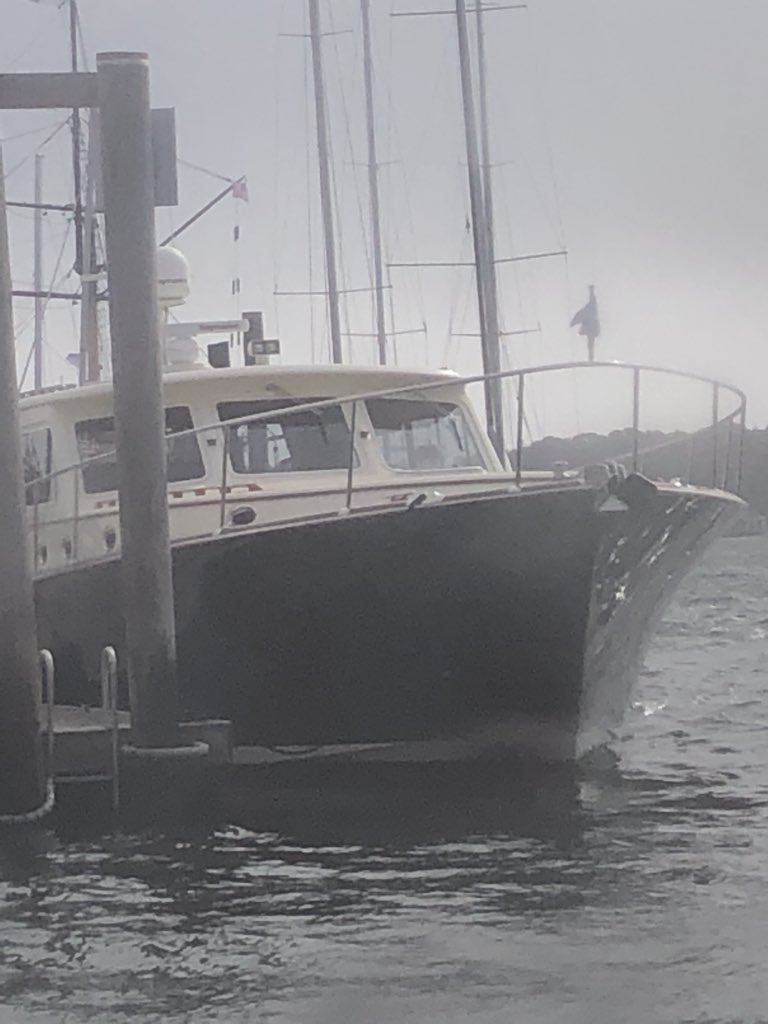 Newy Traveller tweet media