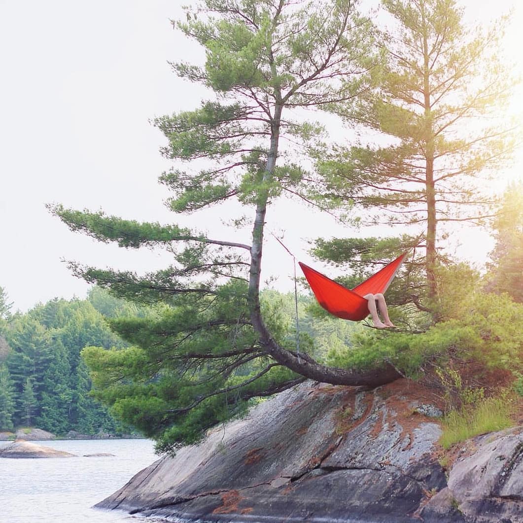 MalloMe3's tweet photo. A hammock and this view. Can't think of a better combo! Mention a friend who you'd like to hang here with! 📸: @erincap (IG)
-
-
#hammock #hammocking #hammocklife #oregon  #peak #mountain #nature #adventure #cliff #ventureout #wildernessculture #thestatewide #travelstoke https://t.co/NxvNLUbN2U