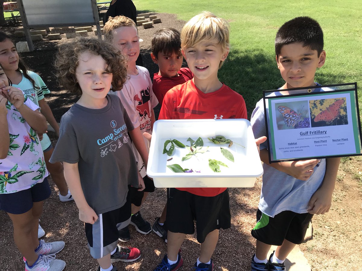 kelliepeden tweet media