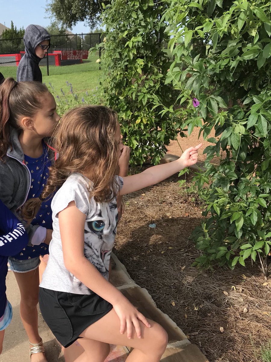 kelliepeden tweet media