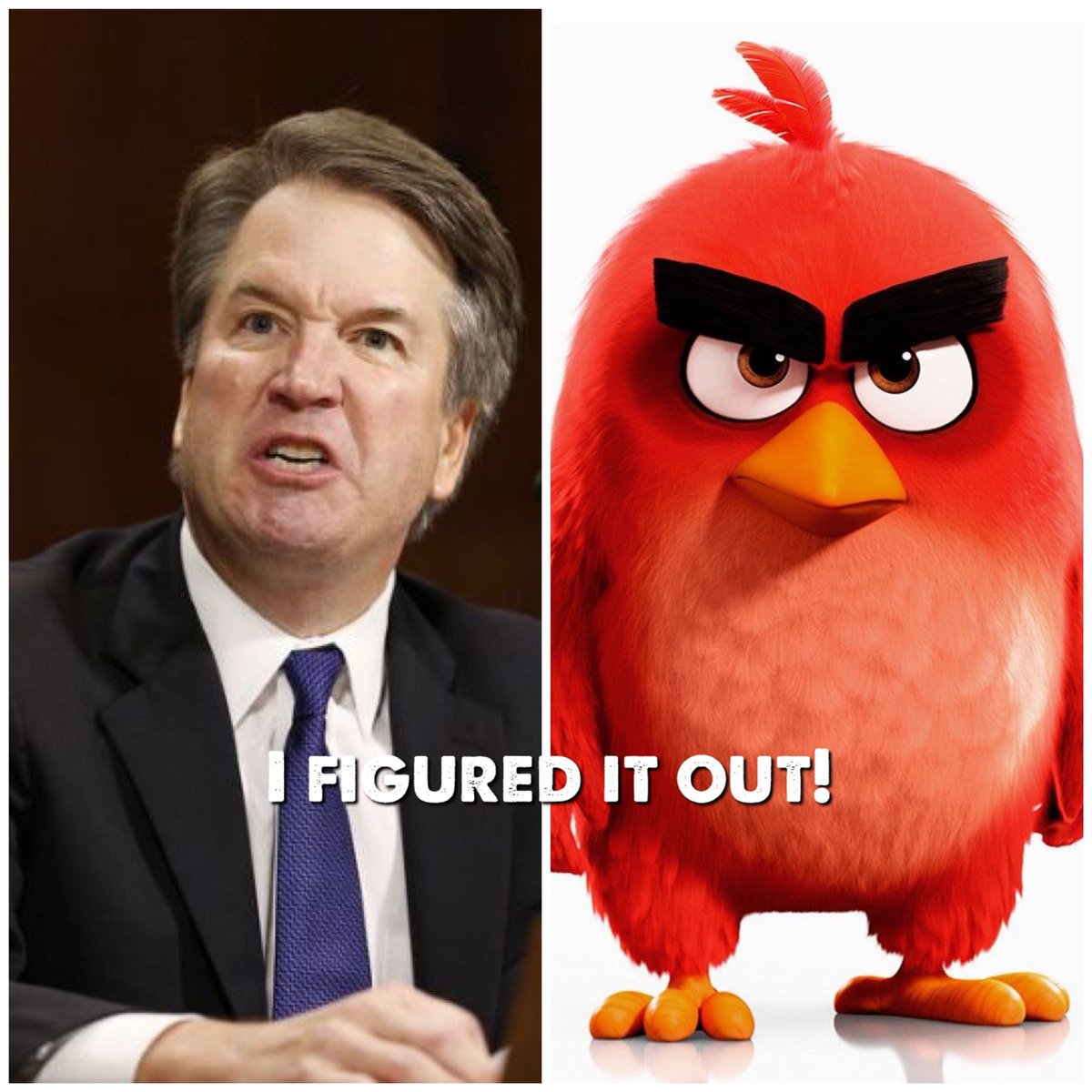 just_joyce1's tweet photo. I figured out who he reminds me of! #KavanaughHearings #KavaNOT #heBIGmad #AngryKavanaugh #angrybirds https://t.co/UYRHHsOqlX