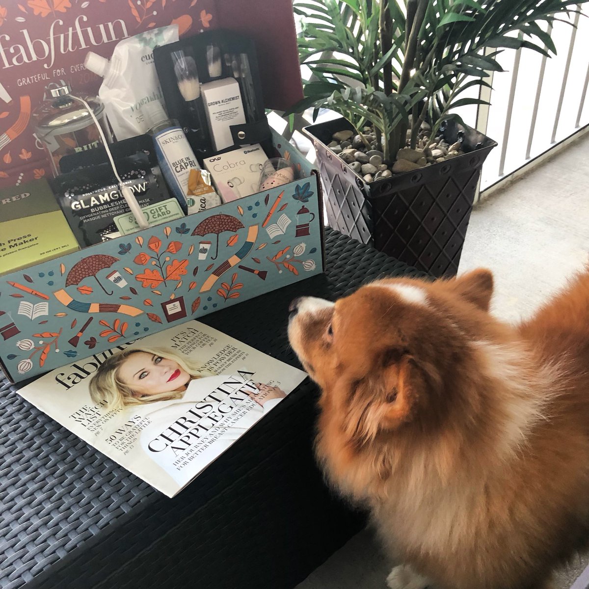 kellylewiss's tweet image. It’s here! #fabfitfunfallbox @fabfitfun #fffgiveaway #marigotbayresort #loveit #fffbox