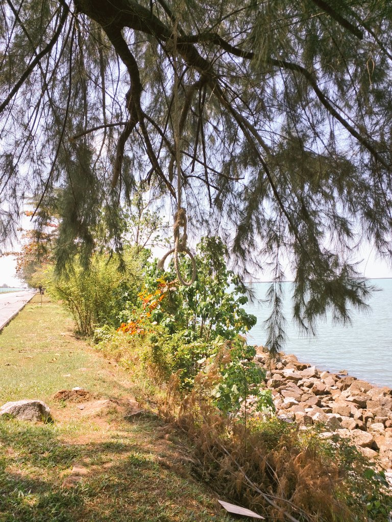 NotTheDigiNomad's tweet photo. We were attracted by this roadside view in Langkawi but while we were enjoying the view I found something disturbing in the tree

Can you spot it?

#seaview
#islandliving🌴 
#islandlife 
#islandliving 
#roadsideview https://t.co/75iS3gxokq
