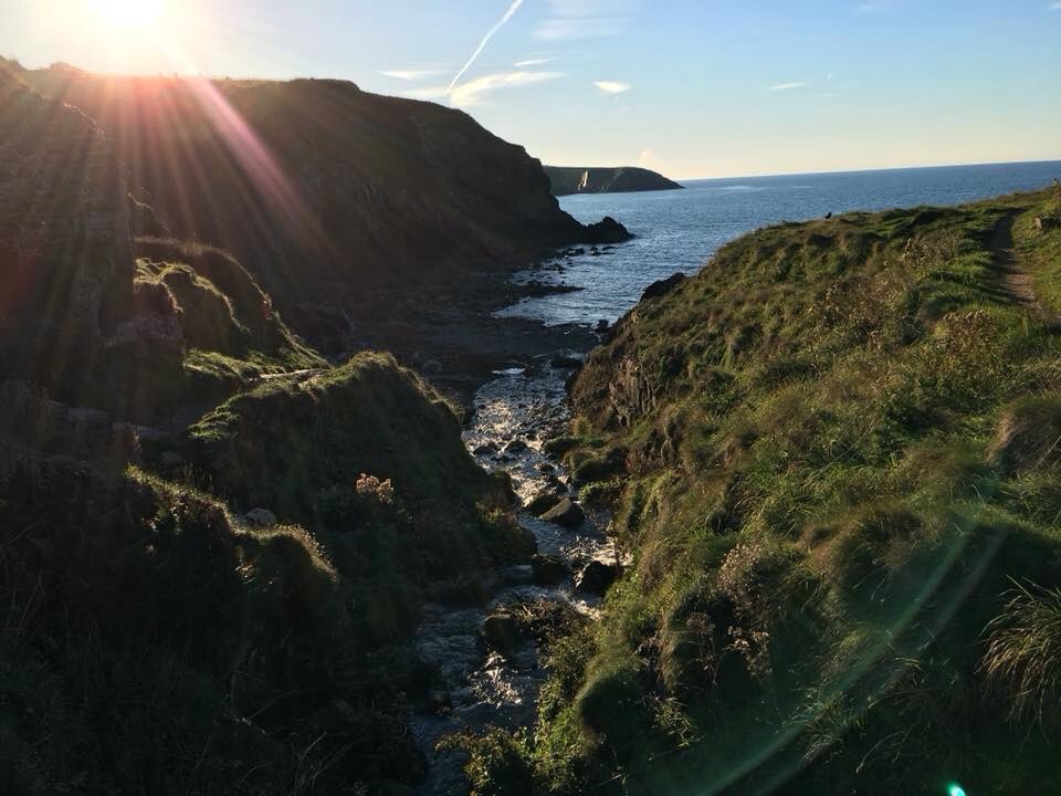 spailpinfanac's tweet photo. After work evening stroll in #Trevin #Pembrokeshire Beautiful and a lovely wind down after a long day https://t.co/OpvnnbIyuo