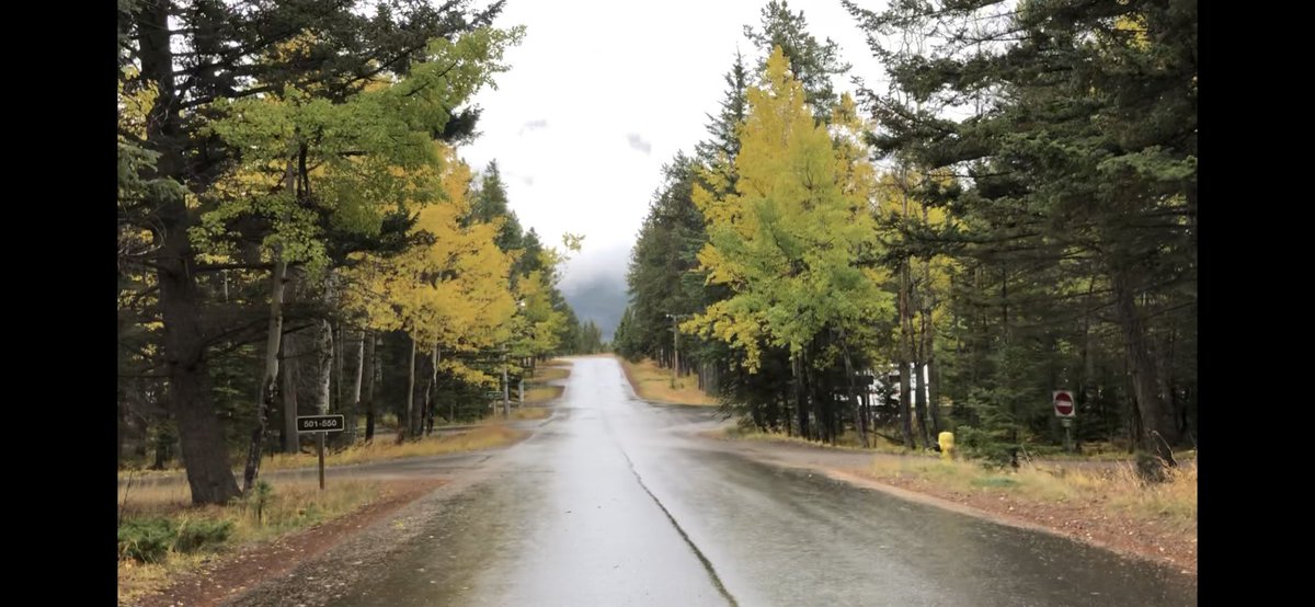Denise13F's tweet photo. 4.15miles\6.67kms
#HeForSheRunners
#earthathon
Trail & road running my way to a 9minute mile.
#SeptemberToRemember
#SeptemberCare
#NeverGiveUp
#KeepShowingUp
#RunningInTheRain
#TherapyRun https://t.co/C0fVAZP59n