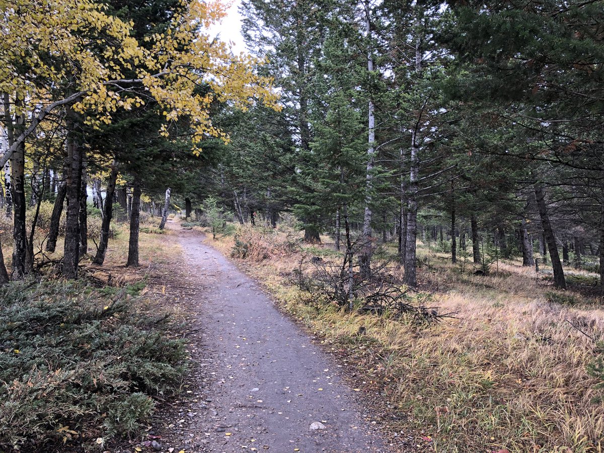 Denise13F's tweet photo. 4.15miles\6.67kms
#HeForSheRunners
#earthathon
Trail & road running my way to a 9minute mile.
#SeptemberToRemember
#SeptemberCare
#NeverGiveUp
#KeepShowingUp
#RunningInTheRain
#TherapyRun https://t.co/C0fVAZP59n