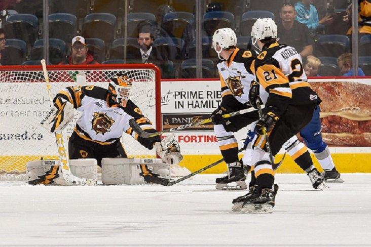 The <a href="/DetroitRedWings/">Detroit Red Wings</a> assign former <a href="/BulldogsOHL/">Brantford Bulldogs</a> goalie Kaden Fulcher to the ECHL's <a href="/ToledoWalleyes/">Toledo Walleye</a>.