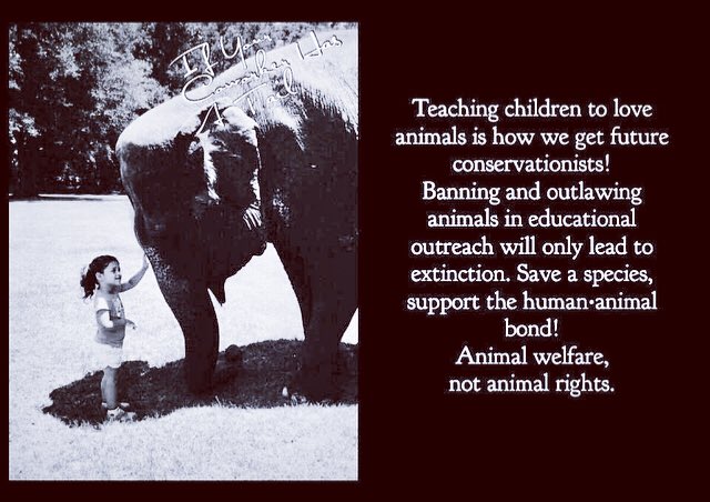 iycwhat's tweet photo. Do Not Let Animals Rights extremist take your Rights Away to be around animals  with their lies ! It will only be in fairy tales for our Children!
#AWnotAR
 #Elephantappreciationday #Trunks4Trump
#WAPA
#Surrenderisnotanoption
#HumanAnimalBond #ConserveWhatYouLove support🎪🐘event https://t.co/zaiwmvLoOb