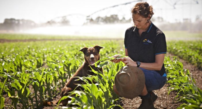 AustFarmInstitu's tweet photo. TRUST: How can #farmers win or earn back the community’s trust? Our #trust session at the #AusAgRoundtable2018 (Canberra 16 Oct) will include presentations + Q&amp;A from @deannalush  @ankeny_rachel  @agintegrity &amp; @AustralianEggs BOOK NOW 👉 https://t.co/ohH2A9tZ7Y https://t.co/vTozHMdExD